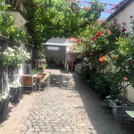 Ferienwohnung Im 'Schmoller - Hof' Neustadt an der Weinstraße Extérieur photo