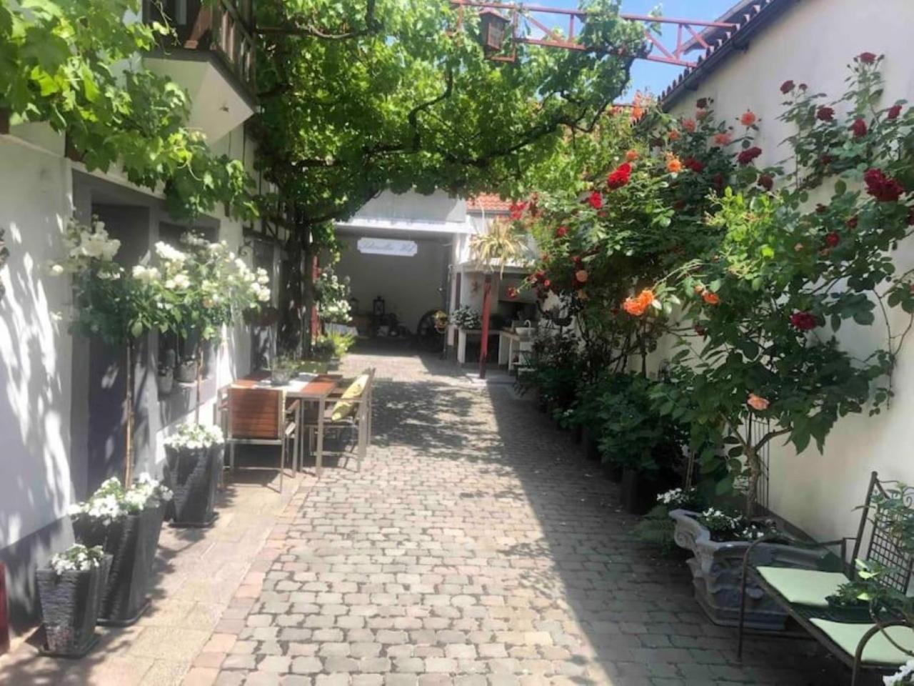 Ferienwohnung Im 'Schmoller - Hof' Neustadt an der Weinstraße Extérieur photo